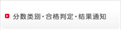 分数类别・合格判定・通知考试结果