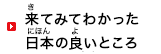 来(き)てみてわかった日本(にほん)の良(よ)いところ