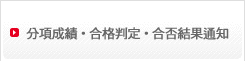 分項成績・合格判定・合否結果通知